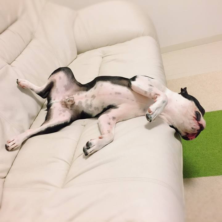 11921c3a d794 4d1b a57a b6e0d8058c29