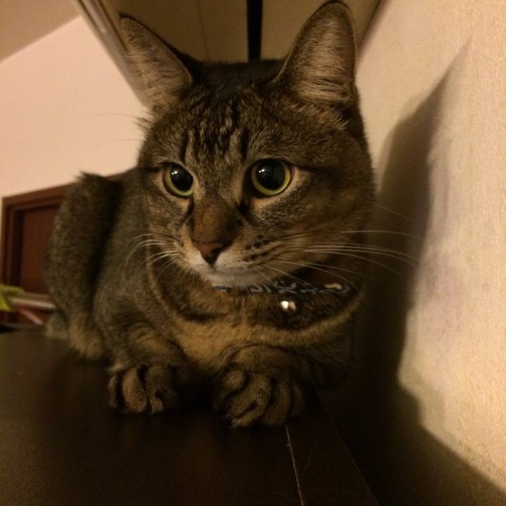 119241e4 059d 412a a3cf 99fdc5072477