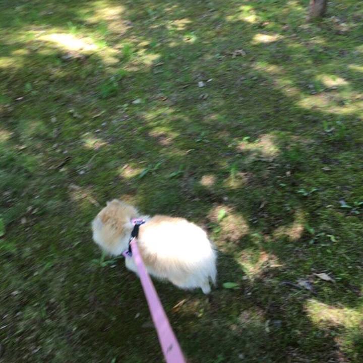 11932785 b946 47e5 b328 de89a37de0b3