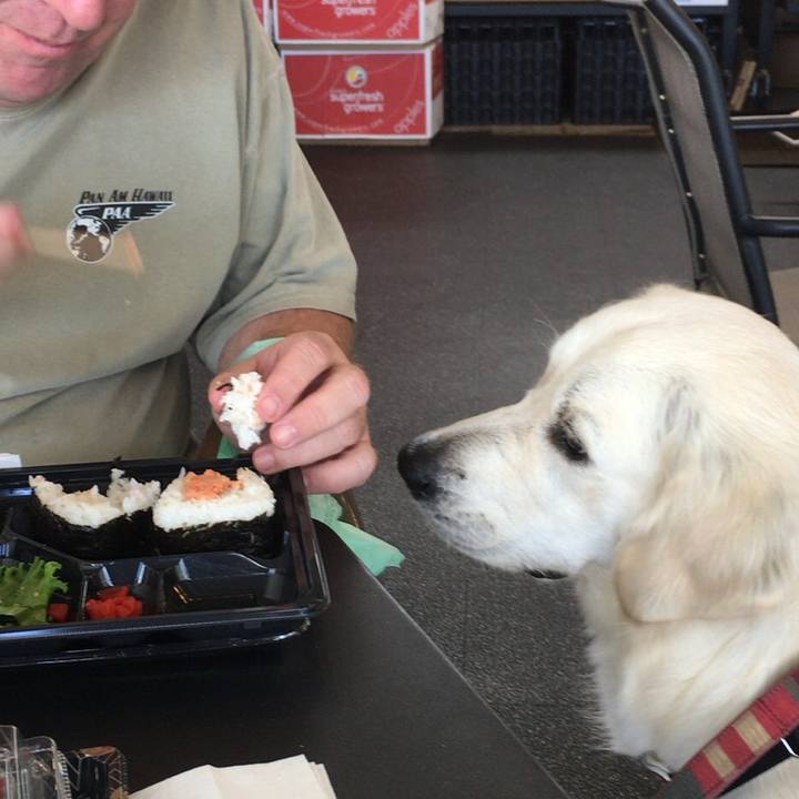 1193ce13 5e93 401d 84f4 783786c1ae23