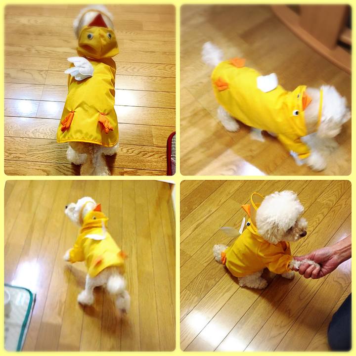 1193f33e b052 4d54 8097 2426953be0d9