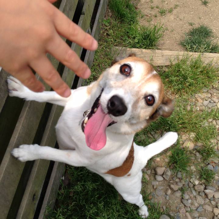 1194f9fd 696f 4b03 8406 fa0d3b1a8719