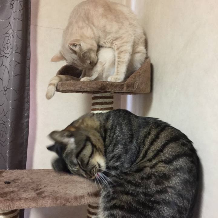 11958fd1 f77d 4cdf 800c 79bca969be69