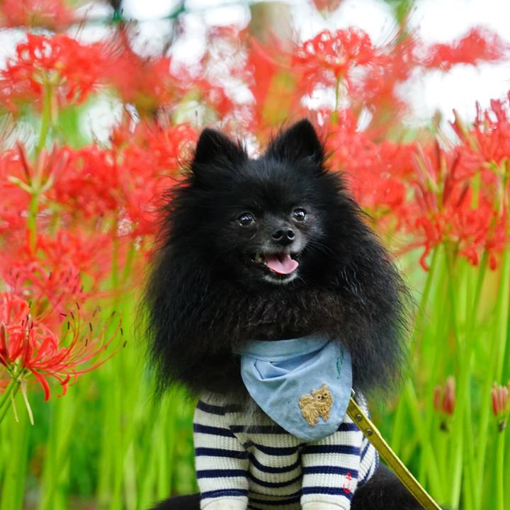 11968334 346e 4069 ab8e f418bcb51890