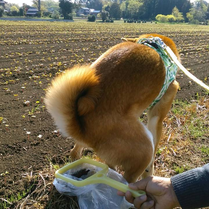 1196b770 87e2 4fb6 b2a9 733ed343b400