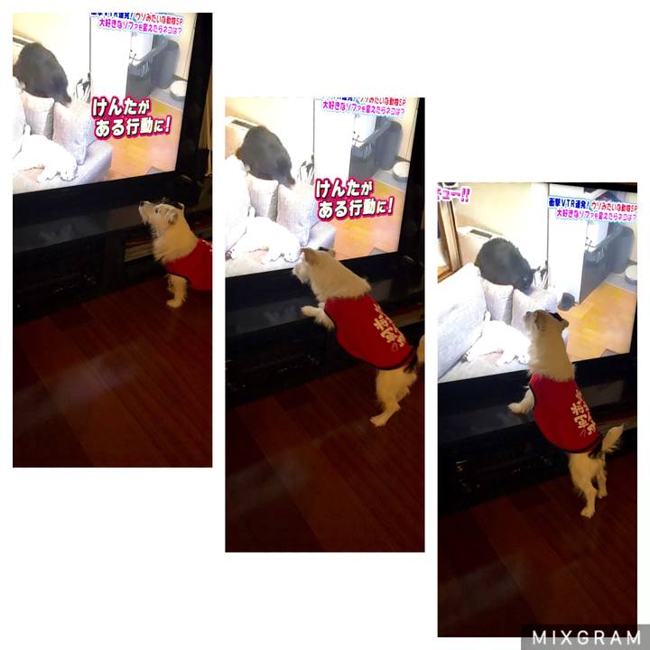 1197e730 21a4 49cc a440 f0ee4098f99c