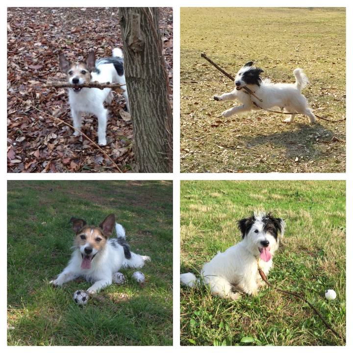 1198377d 3438 451c 93c9 9390cac2c189