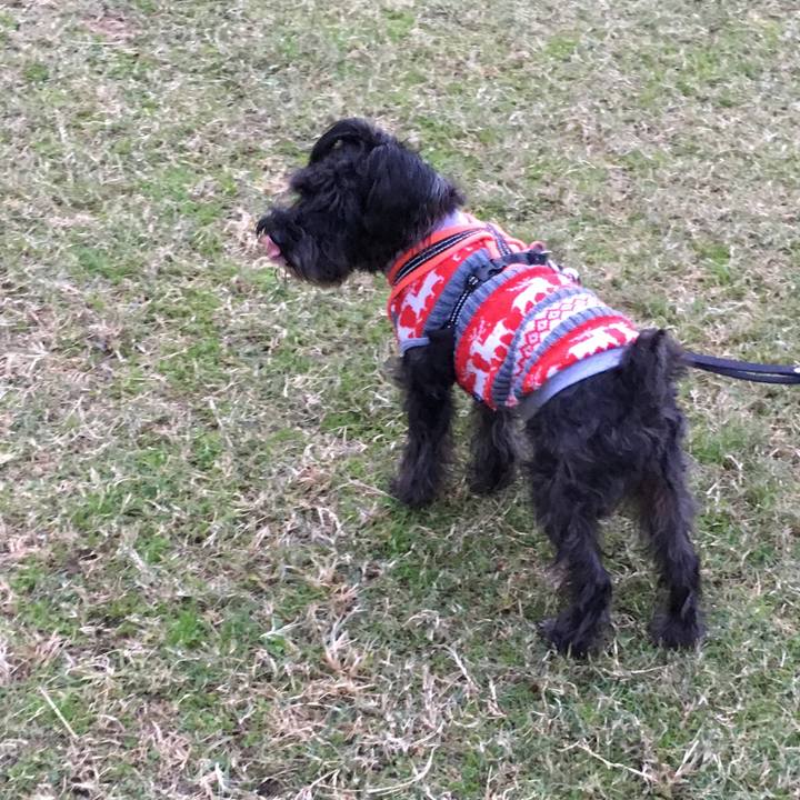 11991d5d 0302 4ecc bdaf bf56bda5f018