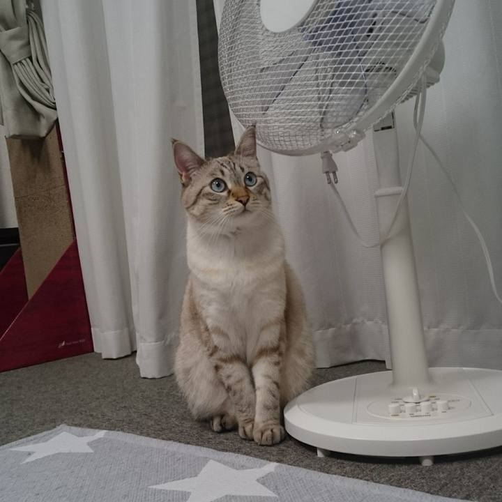 119926d9 4c34 4c58 8f38 bb6ef8ded9b7