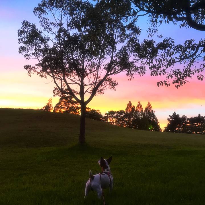 119a6ee0 9ff1 4726 8148 e9738a4cc9ee