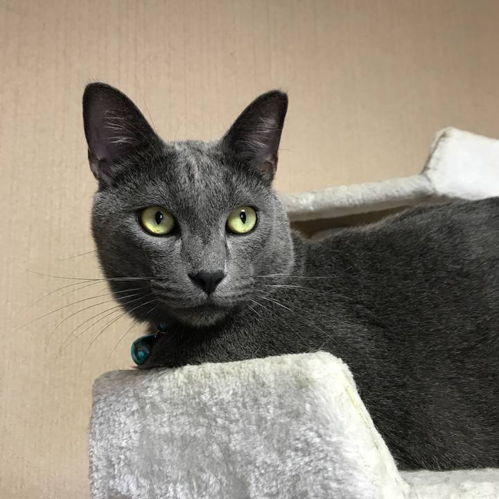 119adff2 2685 426a 8f8b 7f0536e475c2