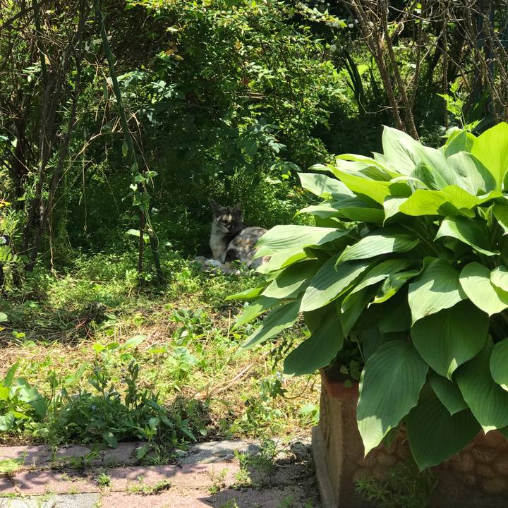 119b3c40 d7f9 4b58 b230 1c300b919510