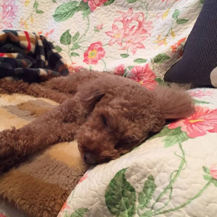 119b4575 1370 4d75 845c 7f956ccacaf5