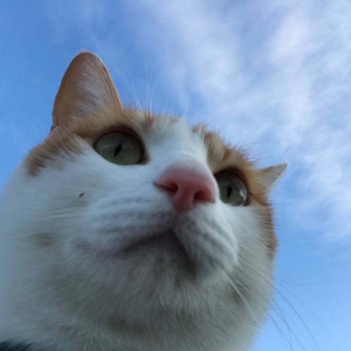 119b7a72 6b7b 45f2 b532 59058fec87d9