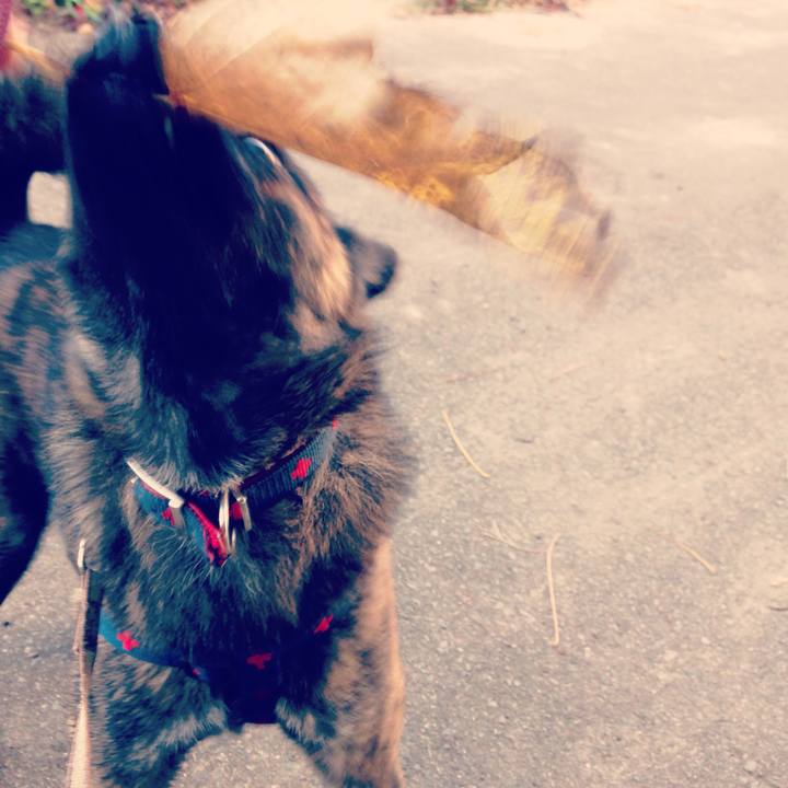 119b8685 d1a6 401e 8b0b 86e821e10ce6