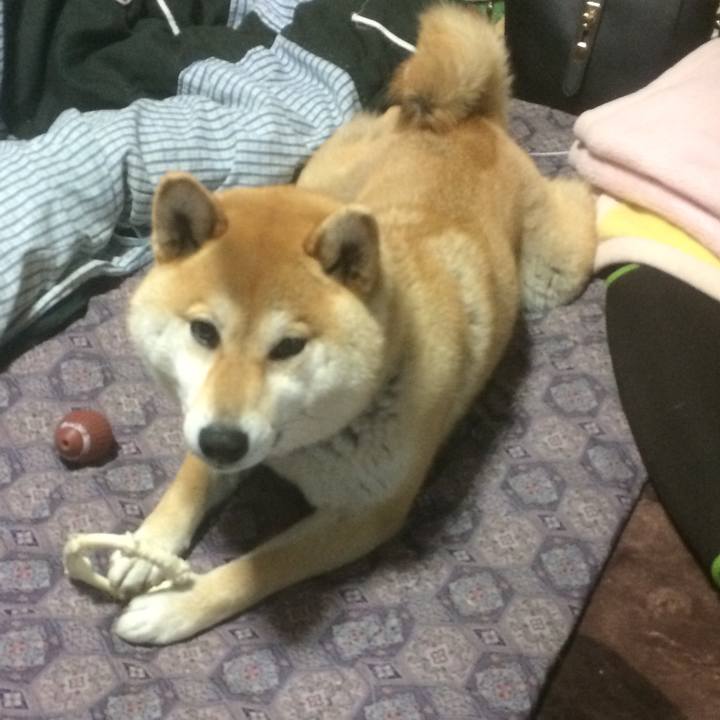 119bb223 db85 47e1 bc32 2d3a6152c50b