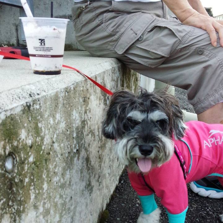 119c480f 9871 4b18 b840 b7ff84792944