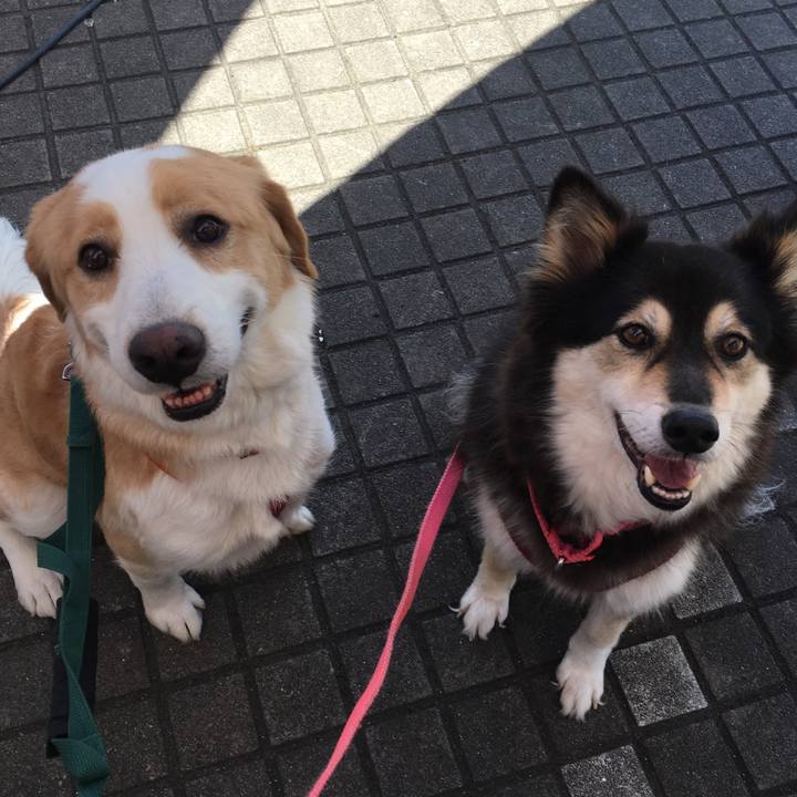 119c5dcd 8e4f 4778 ab99 697ba9a5b942