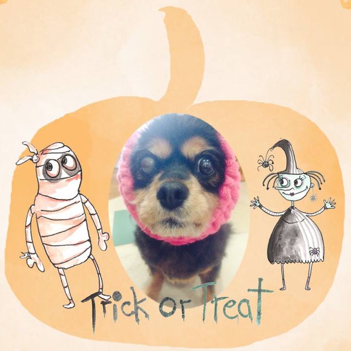 119c6dc0 bd0c 4cdc b3d5 594282e05c22