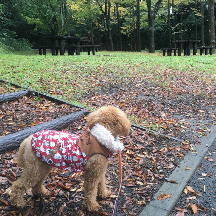 119c9a63 3f2f 4588 ae5a f6ece9be2455