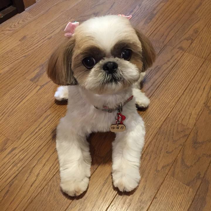 119dca21 c9a7 4892 952b 8955a81d44fa