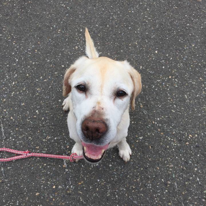 119ef194 e289 4b5a a89a 4ae7092372d5