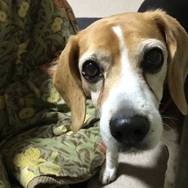 119fa777 6c1c 4755 9f01 33e6dbd873ab