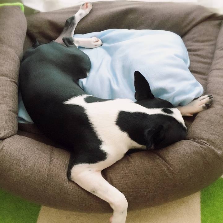 11a0d806 19ee 4f87 b2b5 6dc092a2fdf8