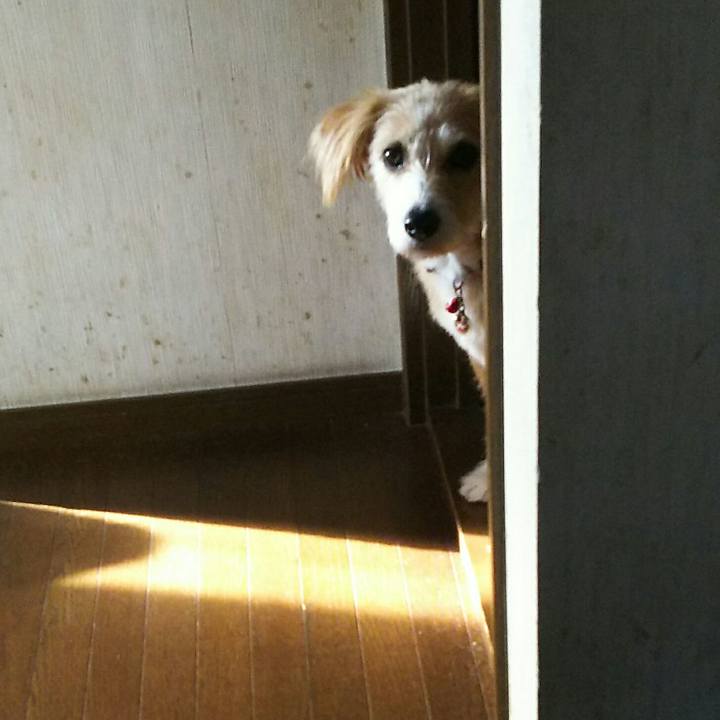 11a1161f 5656 4b5c abb9 bcb53f56b530