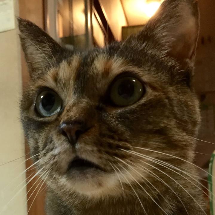 11a14b79 dd53 4d1f abdd 115da59d9135