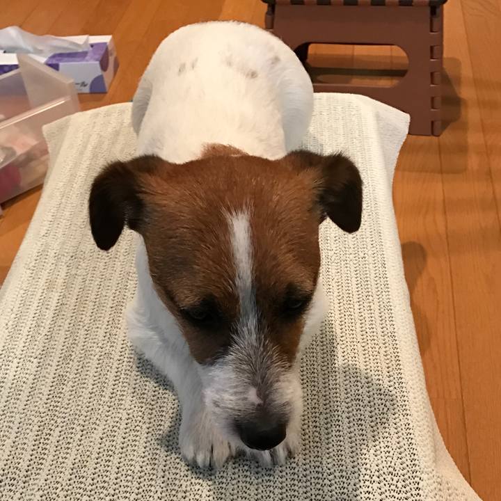 11a1e80d 3678 4836 ac11 2584a435eafe