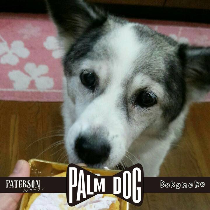 11a1f330 e903 412d 93ea 7f8afc81cb07