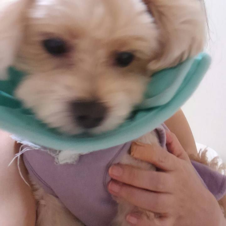 11a213cc 39e4 4d27 a0bf 7b7cf04cc8fc