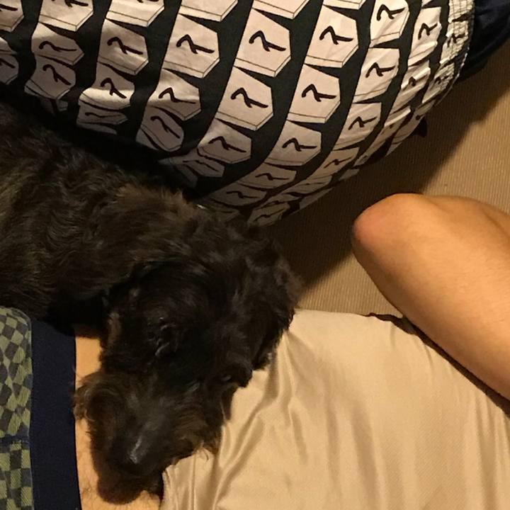 11a27da8 f421 4904 be39 fc266f6b851b