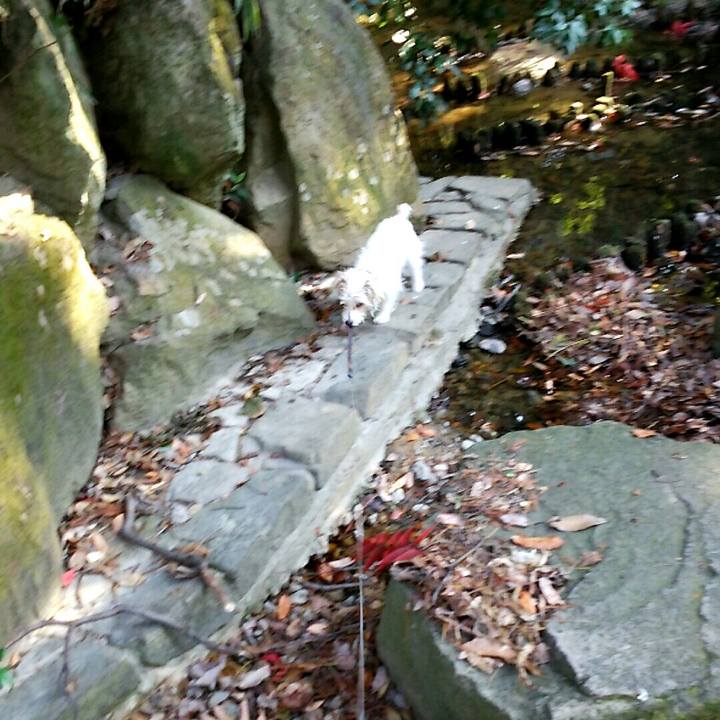 11a2d495 57f6 4b0d b01d ecf2c410b235