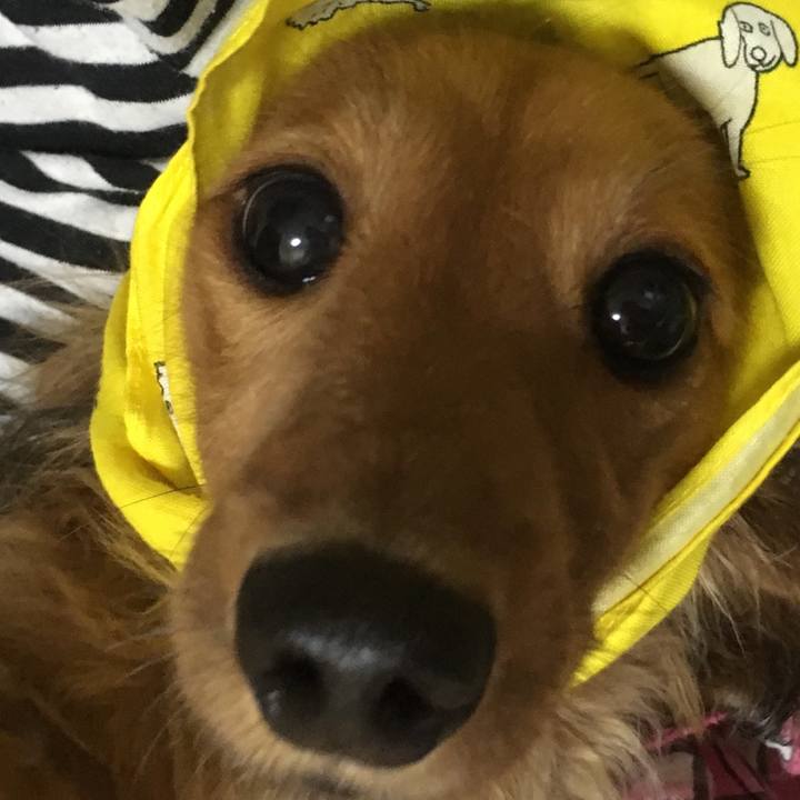 11a348c9 57f8 4f58 ae7c 2462eb030cb2