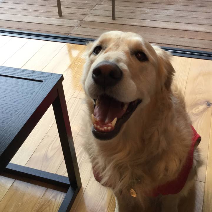 11a4bca4 ec68 4b2c b351 b50f5c53a6fd