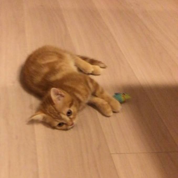 11a4e38d baab 46b9 b298 d559bc015048