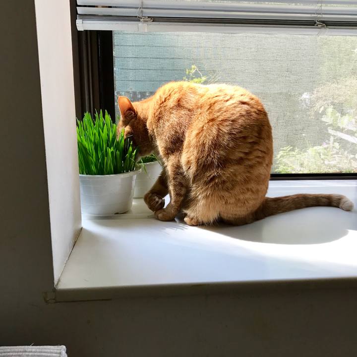 11a5f227 a785 4668 b126 753afdf36639