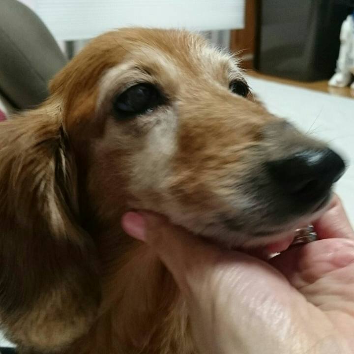 11a60f85 f4c3 408c ac04 84bf6d1c47c5