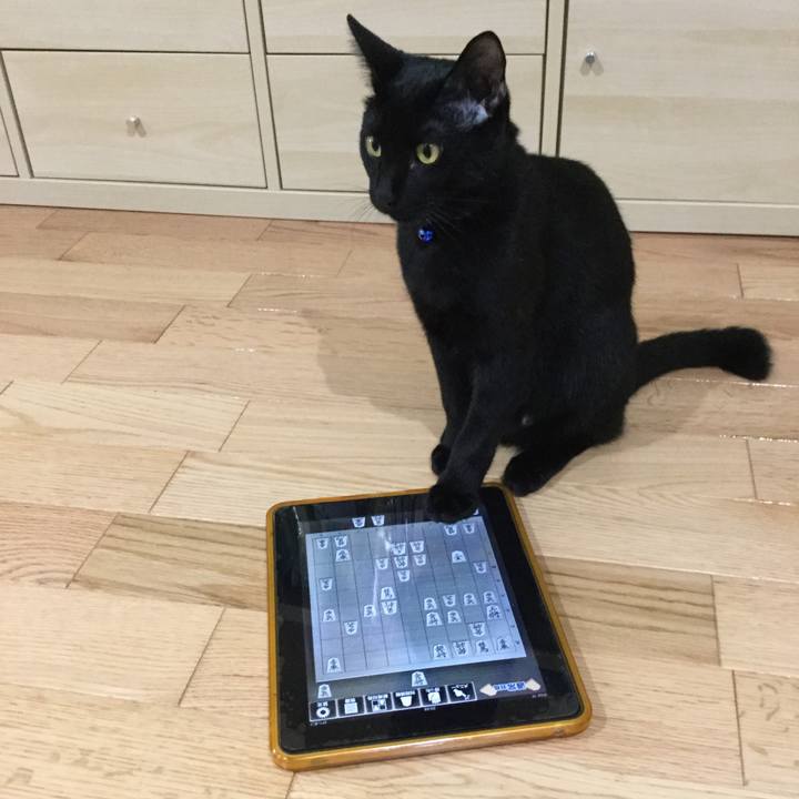 11a6408e 614d 460b a49e da65f7f31680