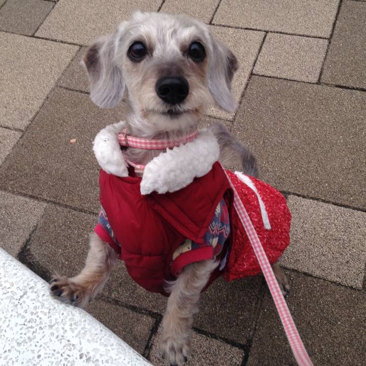 11a653e3 8b09 476c a04c 19ce5e7dfa69