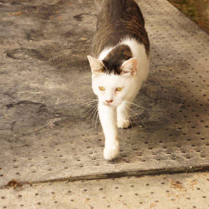 11a65dda f29a 44e0 b20b dd33601bca0b