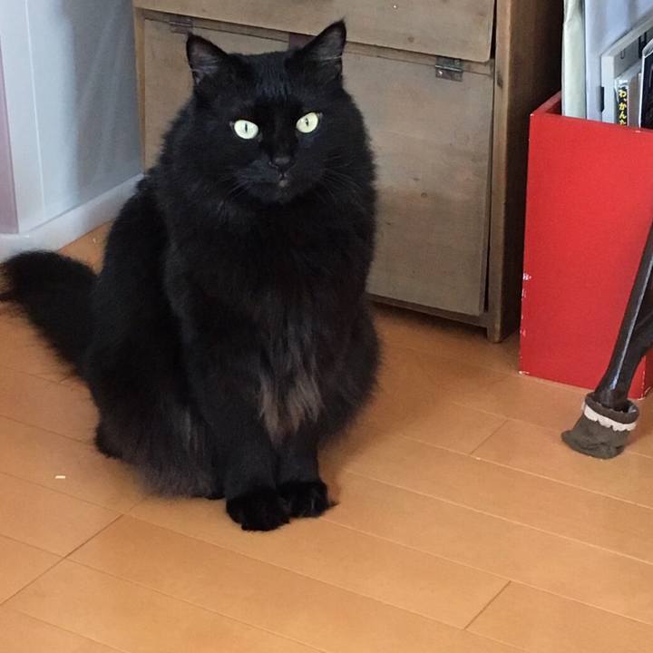 11a6c148 ee6c 4cd1 99fe 5075f1890209