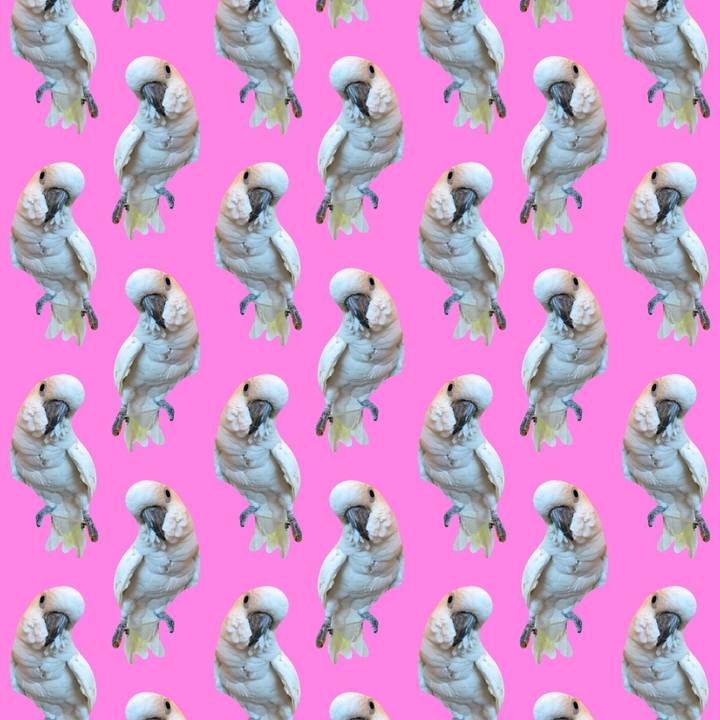 11a75223 25f2 44f7 a30a 716d9a6cb91e