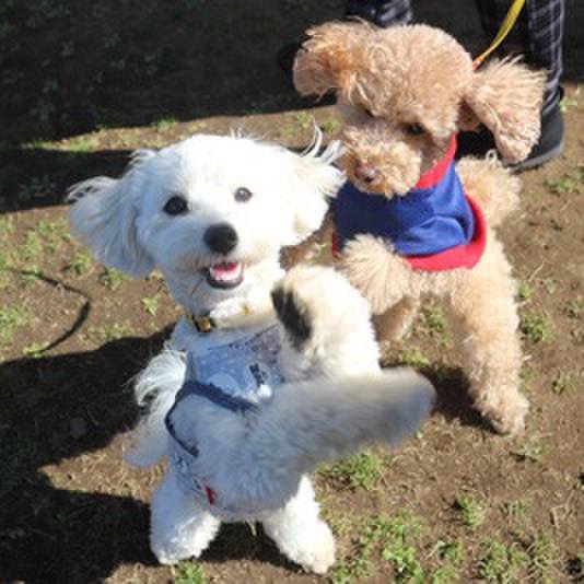 11a7c8dc 75f2 4d0b 8934 d69ffd109e02