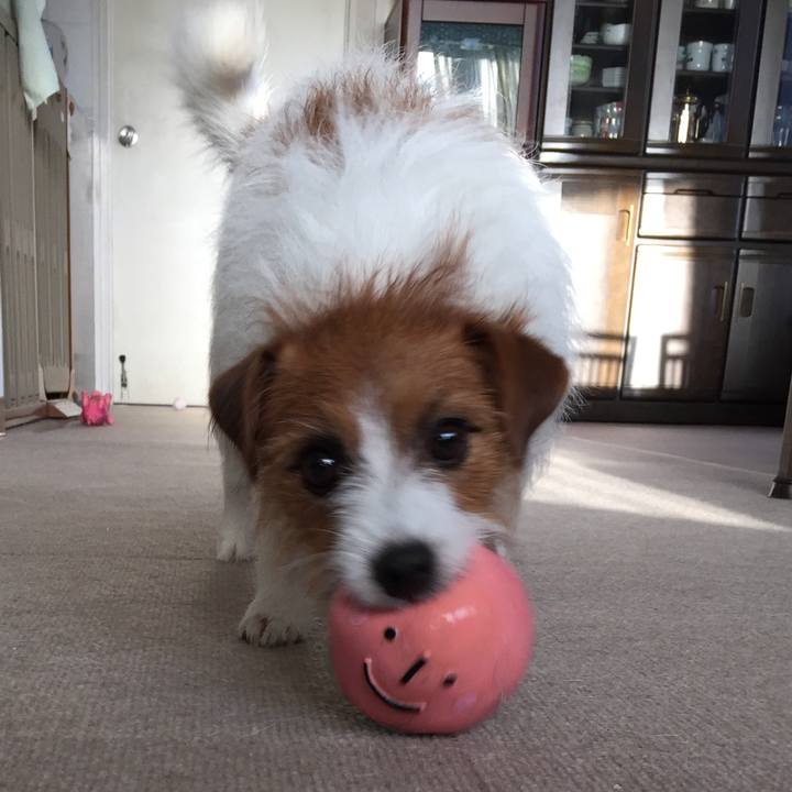 11a7dd5b a868 47e8 aa39 1352eb47f7c0