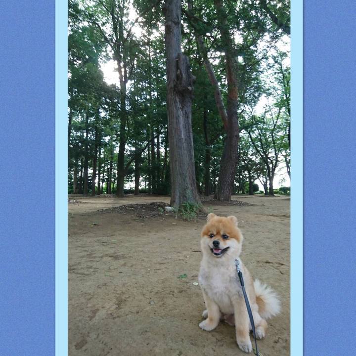 11a8850b de7e 48dd b34b e9881c5466ba