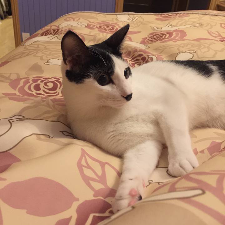 11a89214 8c3f 43bd 951c 4618d4a42e59