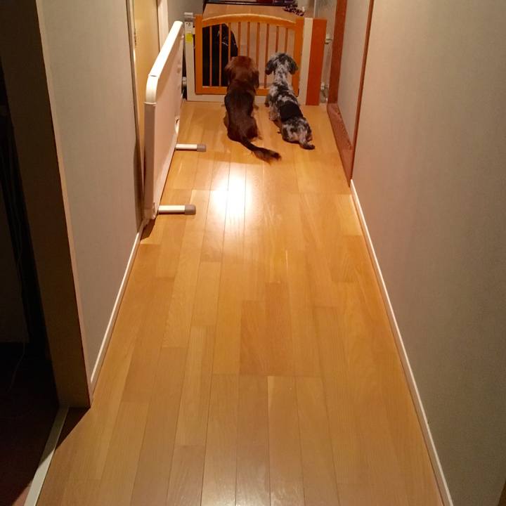 11a8f3a7 49ac 4a3e 8a80 5e13e4beb0d4